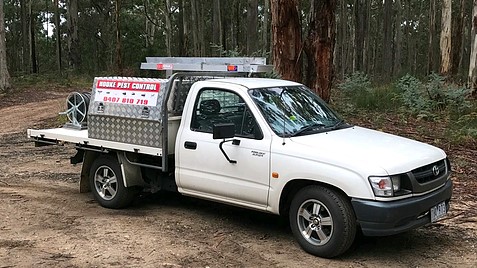 pest control services melbourne